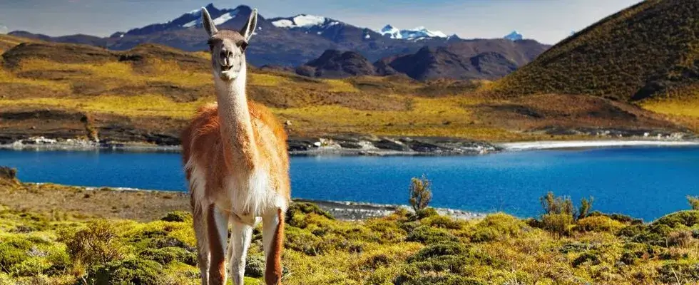 Things to know before moving to Chile