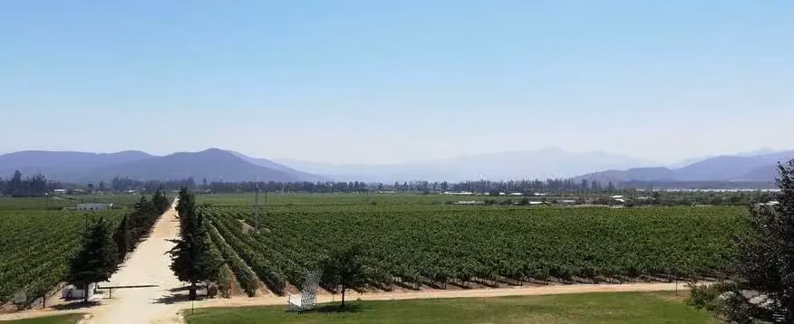 Living in Chile Pros and Cons: Honest Assessment